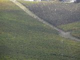 Chianti-1 2016 - 071.jpg